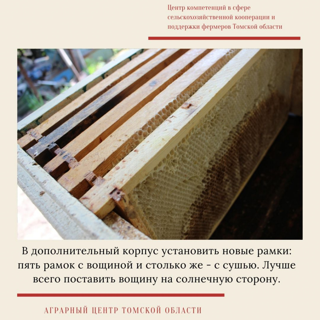 мастер-класс  10.jpg